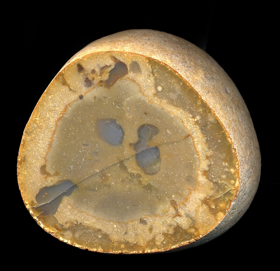 Warden Point Honey Flint