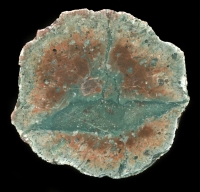 Gottlob Thunderegg