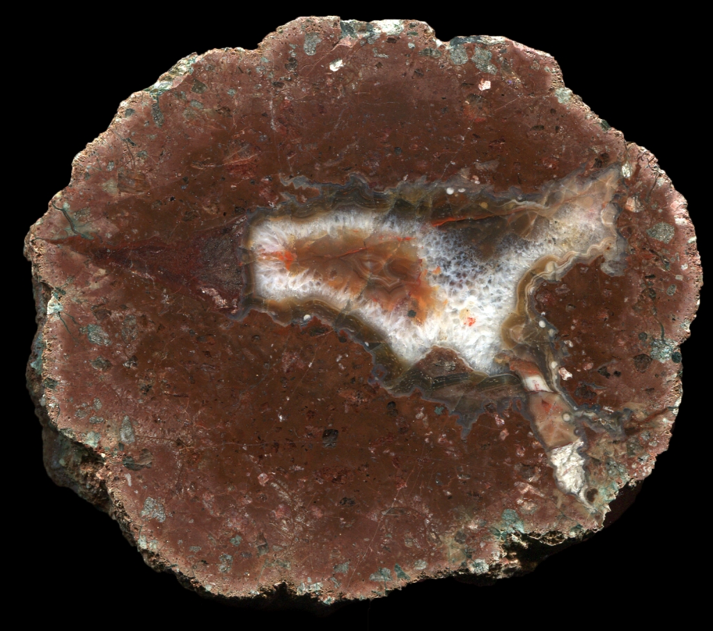 Reddish Gottlob Thunderegg 