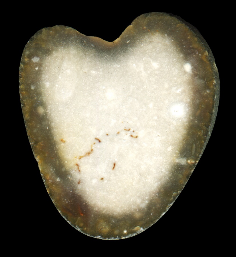 The White Heart Flint