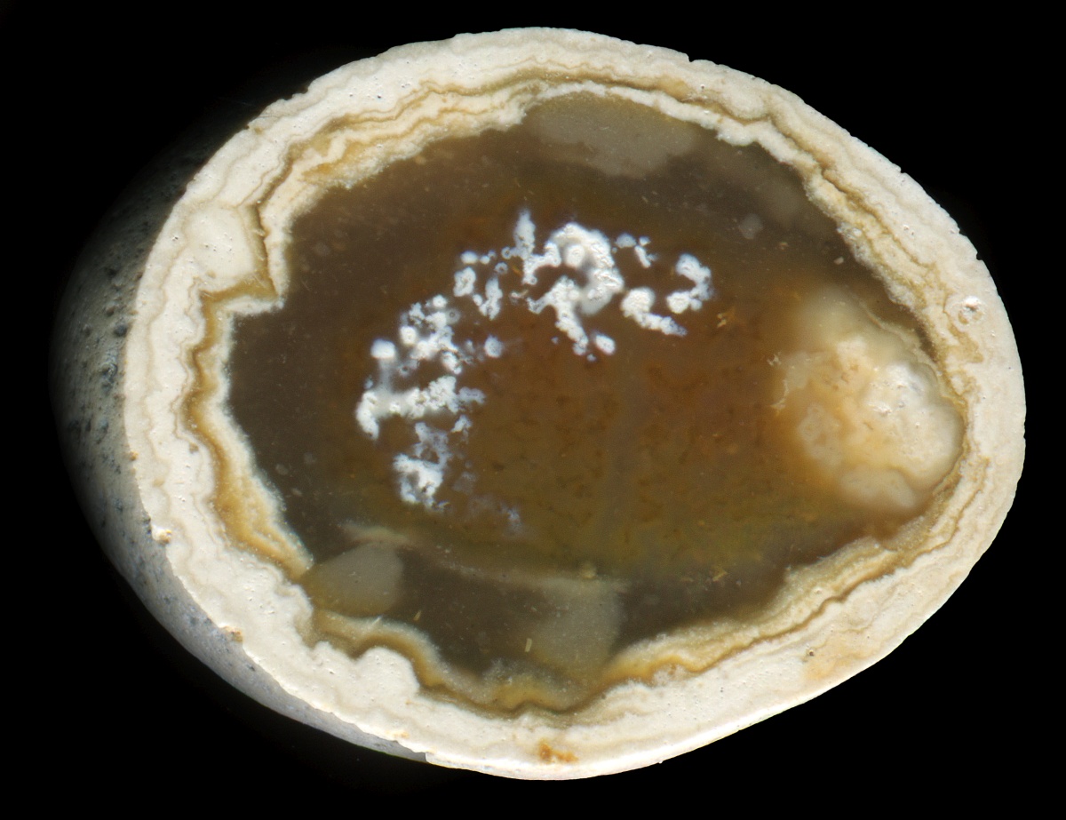Tiny Flint Pebble from the North-East of London with a Substantial Border