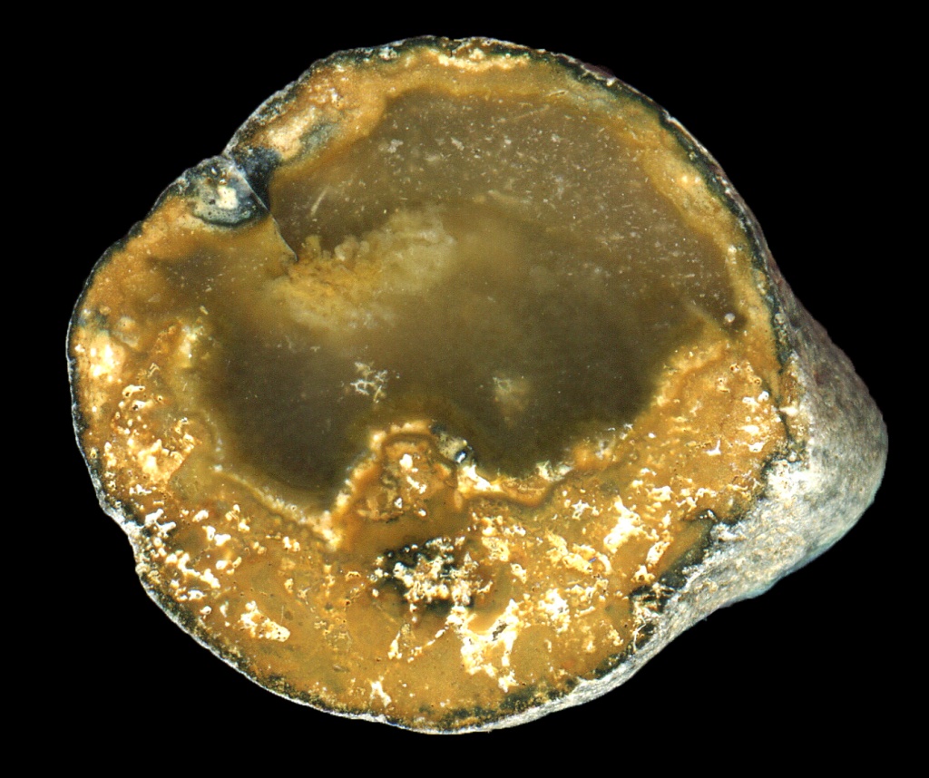 Flint Pebble from the South Bank Area with Debris and Filaments