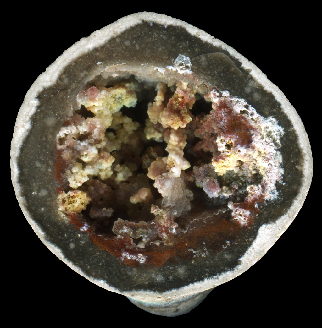 Colourful Fossil Sponge Geode