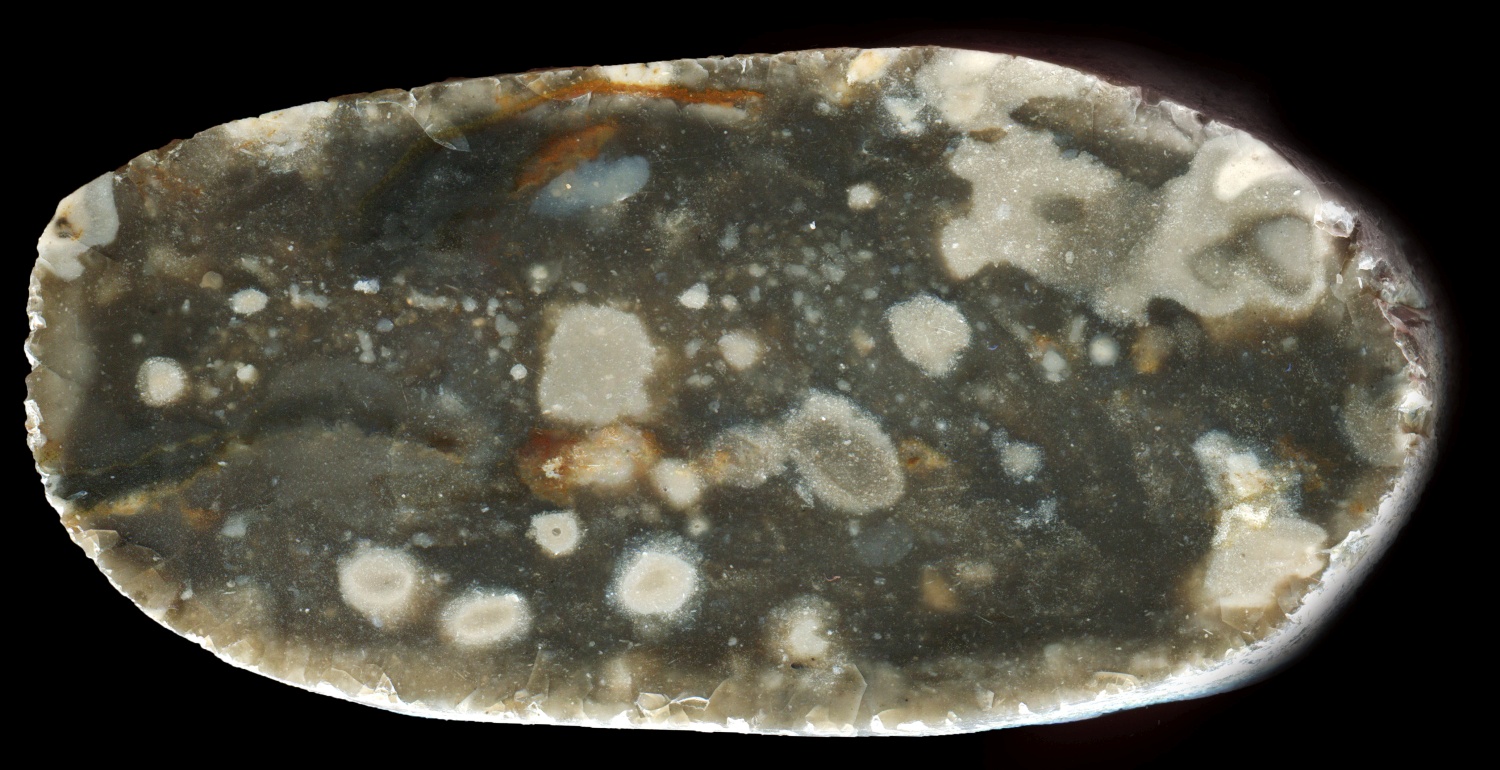 Speckled Sandwich / Deal Flint