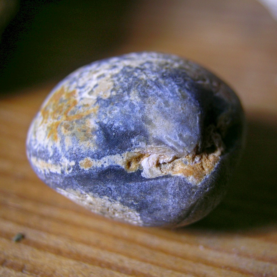 Flint After Fossil Bivalve - Perfect Little Stone Shell