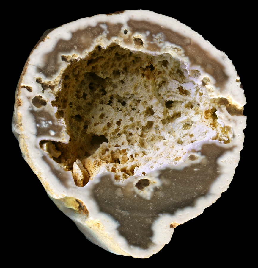 Hollow Flint with a Cavity that Formed around a Fossil Sponge