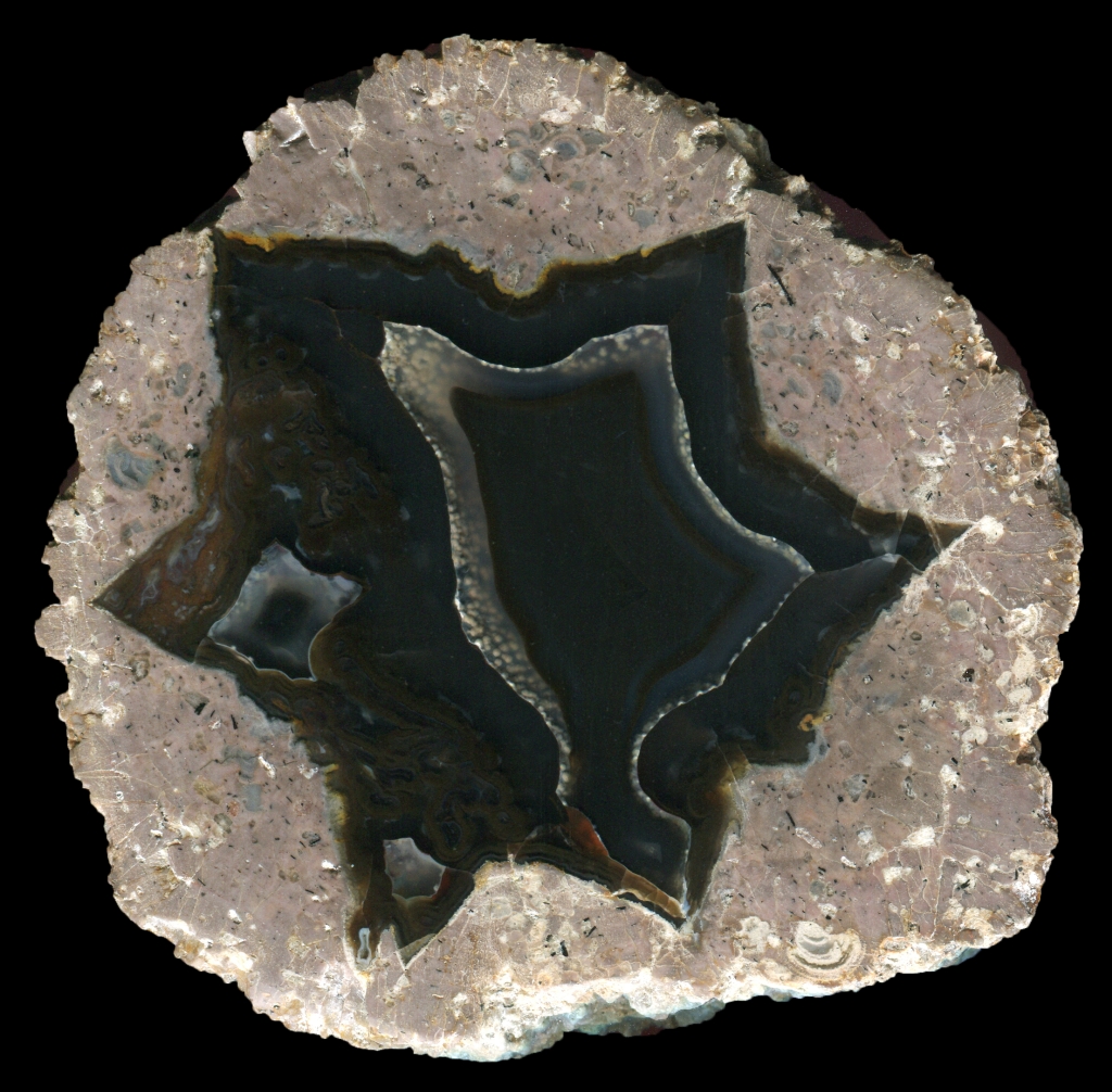 Dark Susuz Thunderegg with a Band of White