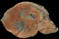 Sadgill 1 Thunderegg