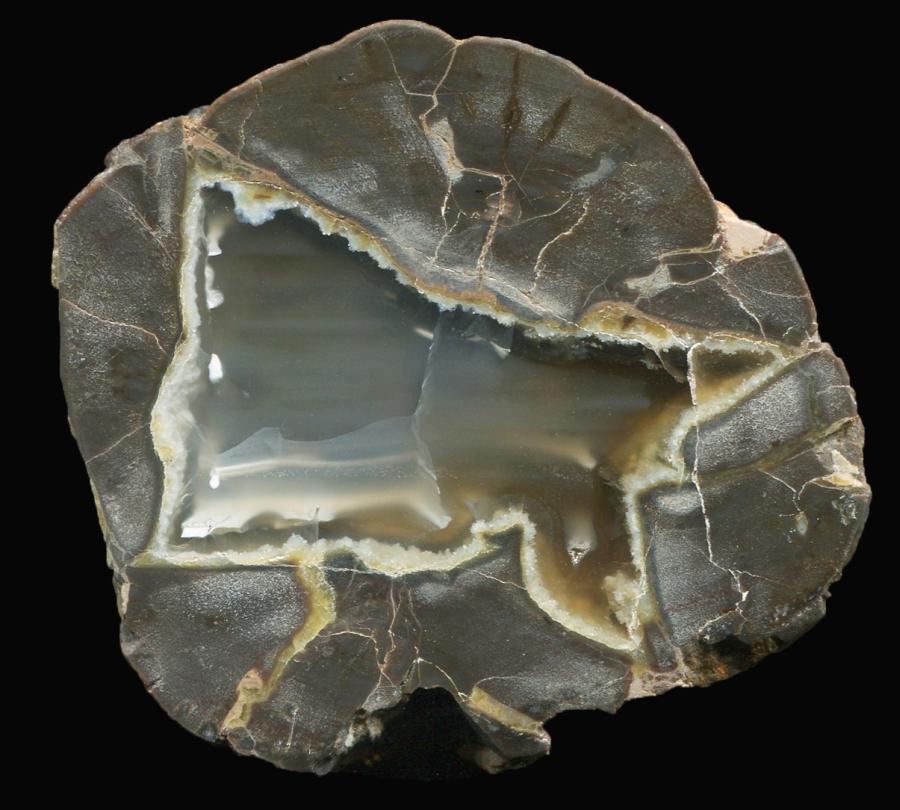 Unknown Thunderegg "Poss. Washington State"