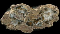 Unknown Thunderegg