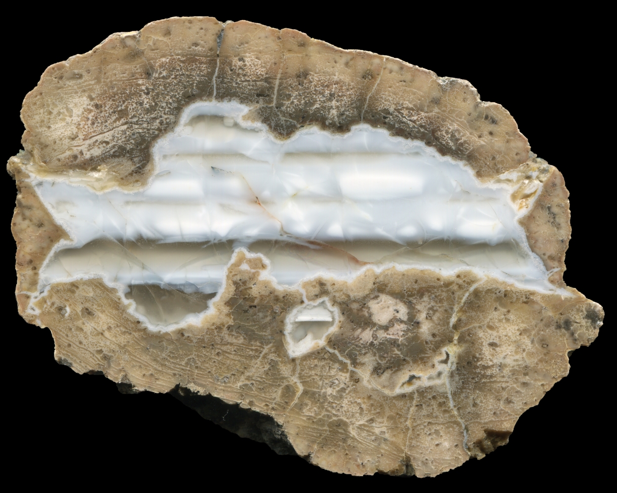 Pale Unknown Thunderegg with Waterlines