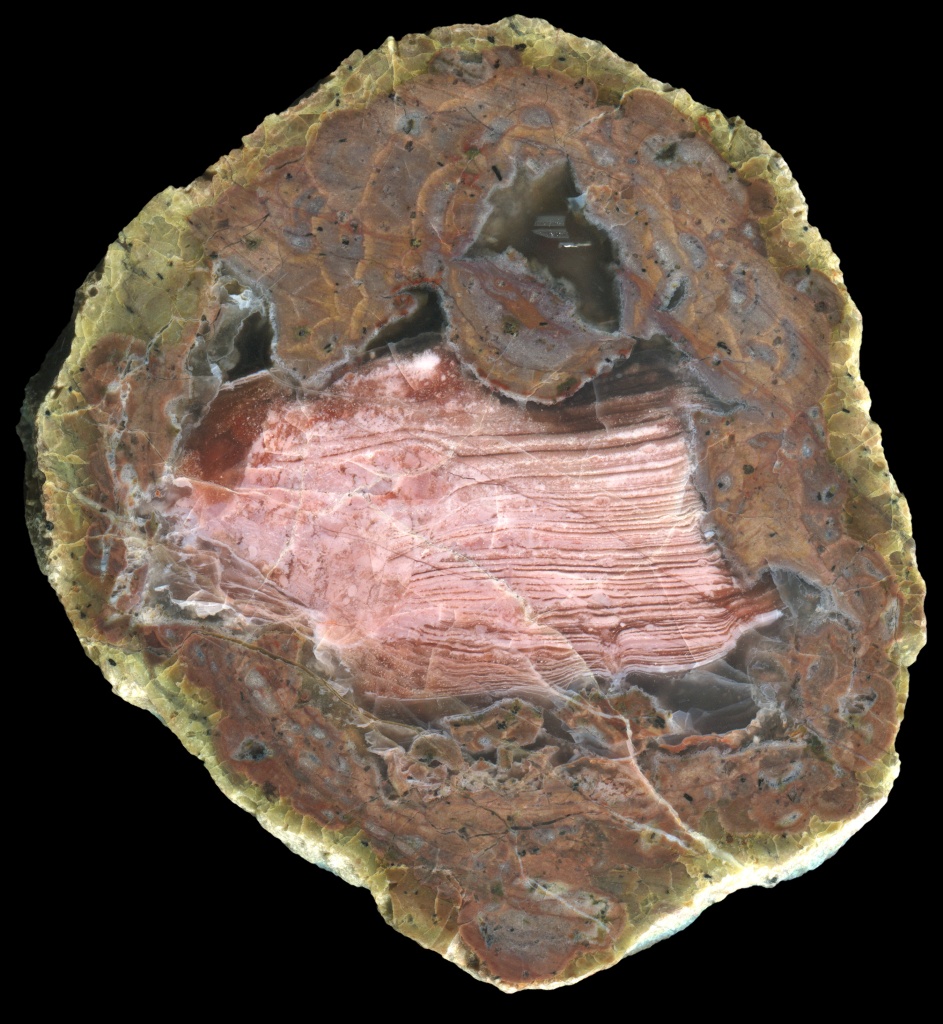 Black Agate Bed Thunderegg with Beautiful Marbled Mineralisation