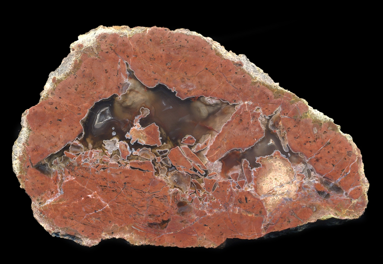 Back Hills Thunderegg - "the Coyote Stone"
