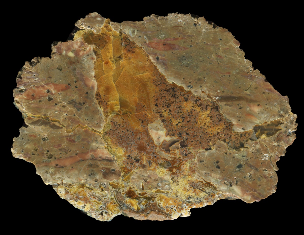 Larkspur Bed Thunderegg with Dense Moss