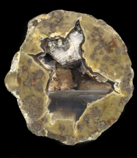 Donnybrook Thunderegg