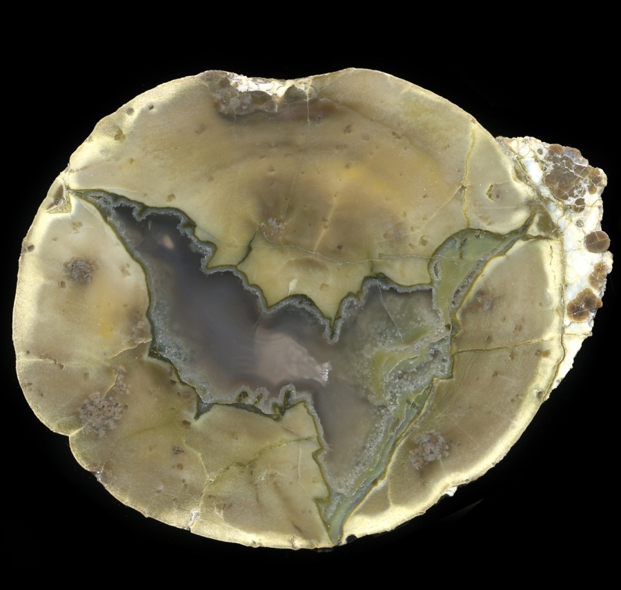 Classic Olive Green Donnybrook Thunderegg Pair