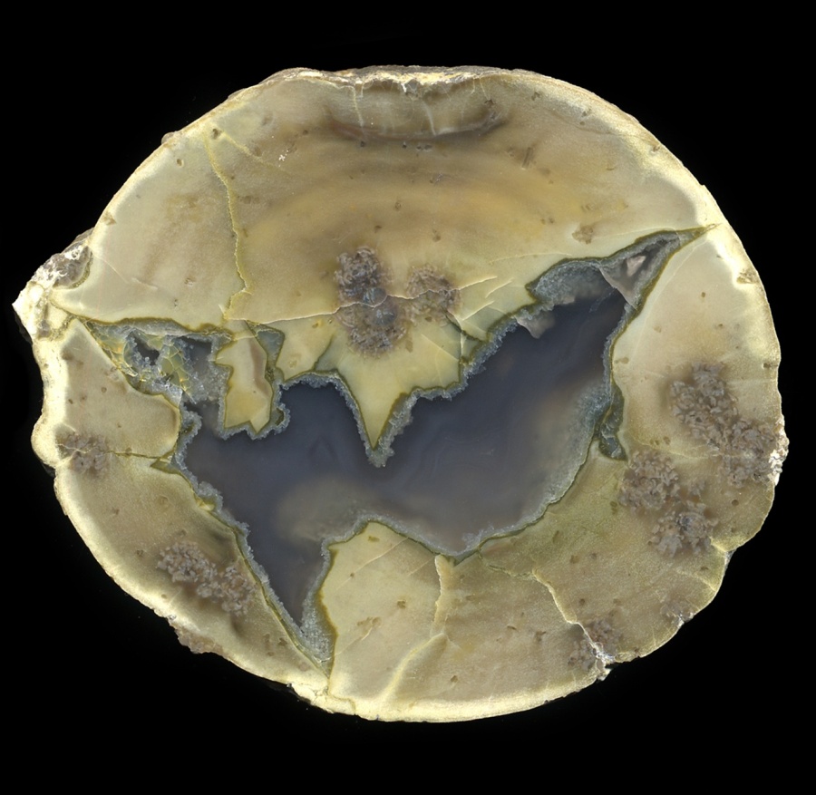 Classic Olive Green Donnybrook Thunderegg Pair