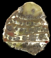 Donnybrook Thunderegg