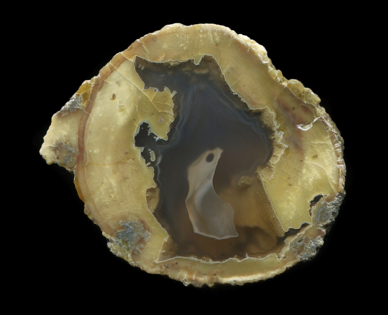 Donnybrook Thunderegg with Unusual Floater - Fish Eye