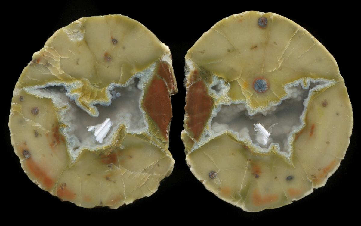 Small Donnybrook Pair