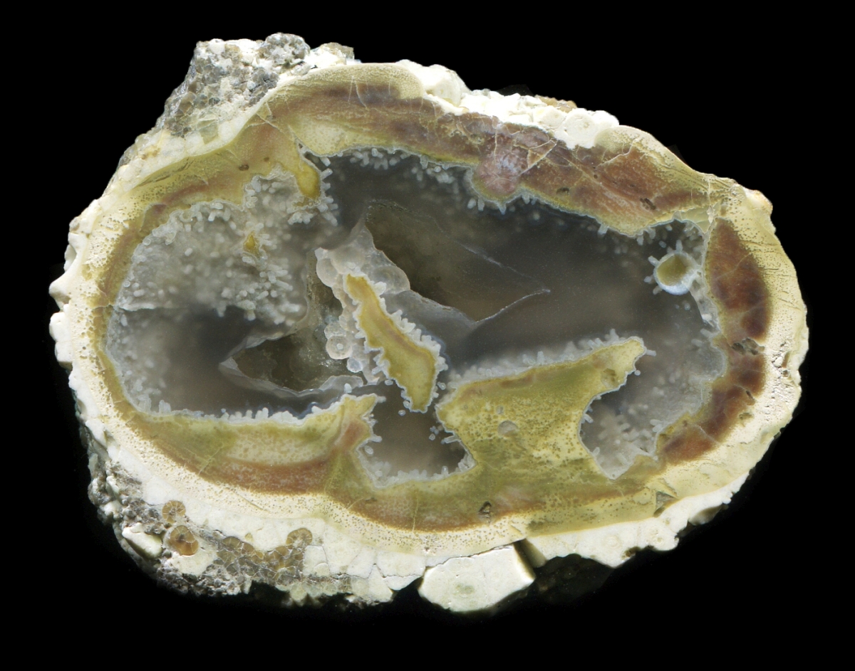 Unusual 'Bristly' Donnybrook Thunderegg