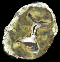 Donnybrook Thundereggs