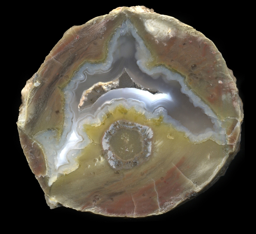 Simple Dutch Donny Thunderegg