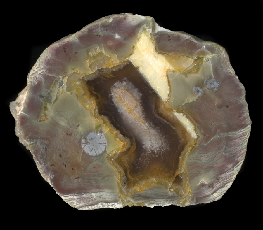 Dutch Donny with Cloudy Agate