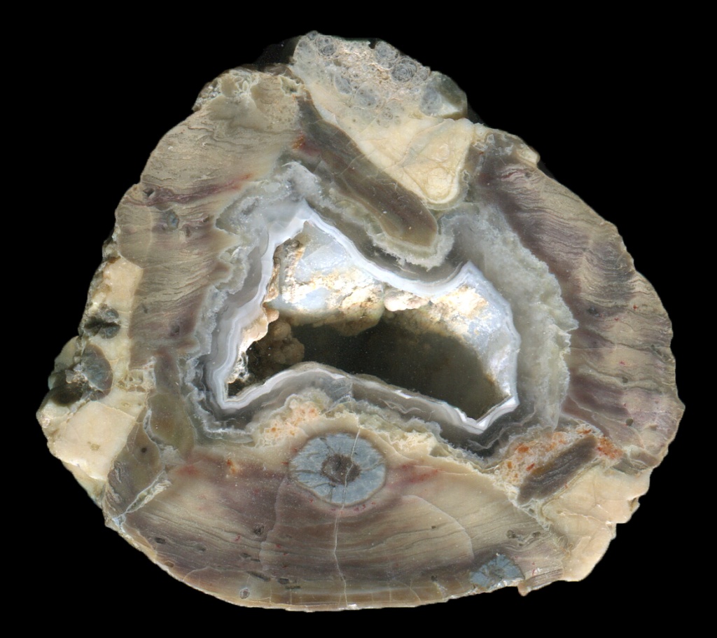 Dutch Donny Thunderegg with Delicate Flowbanding