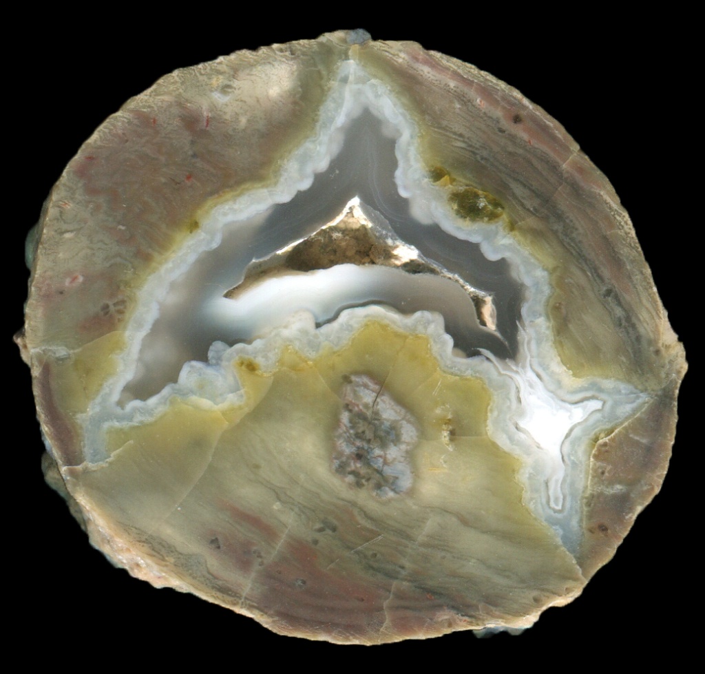 Classic Dutch Donny Thunderegg