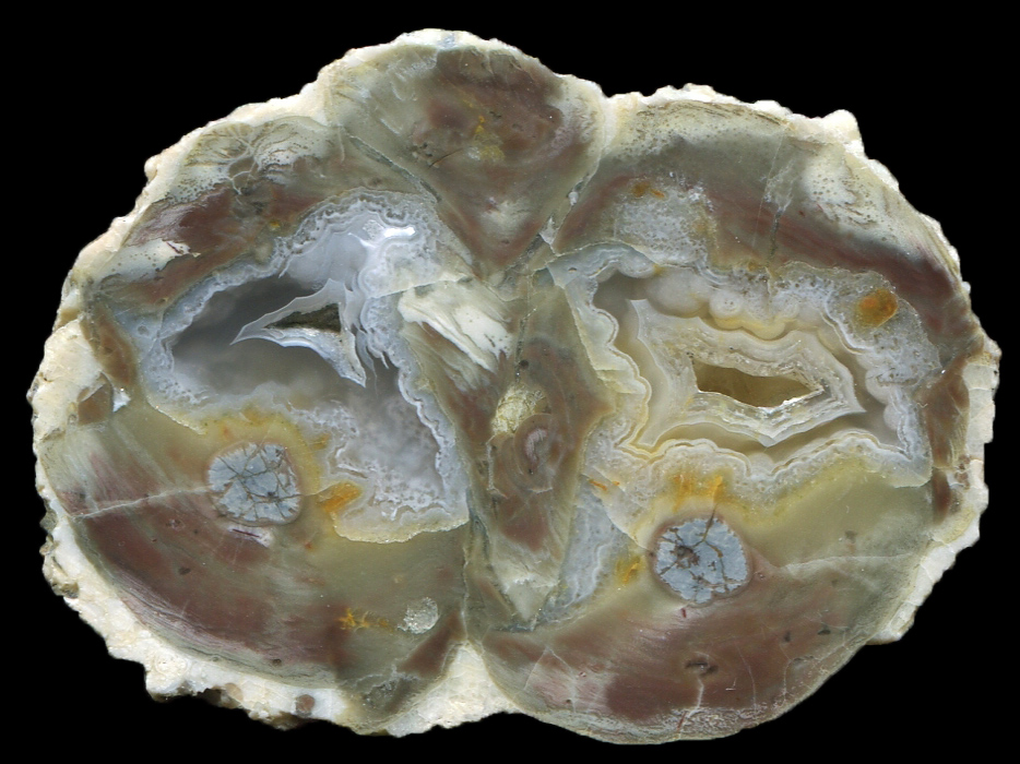 Beautiful Double Dutch Donny Thunderegg