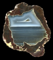 Frieda Thunderegg