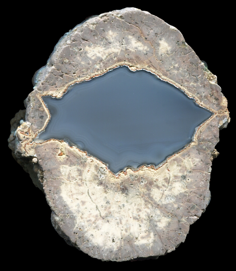 Fallen Tree Thunderegg with Very Unusual Grey Agate Core