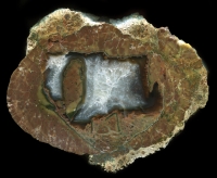Large WM13 Thunderegg with Crystal and Moss